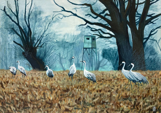Postkarte "Kraniche" DIN A5